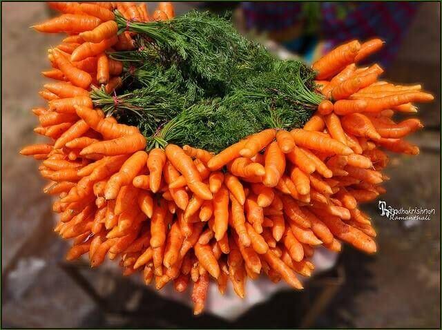 Beneficios de las zanahorias; ¿Qué aportan a tu organismo?