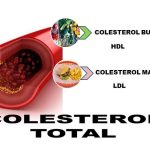 El colesterol total,el  bueno y el malo y su relación con los alimentos