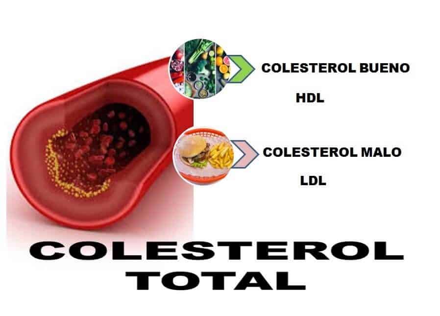Cambios en los hábitos alimentarios pueden influir en sus niveles de colesterol y las lipoproteínas