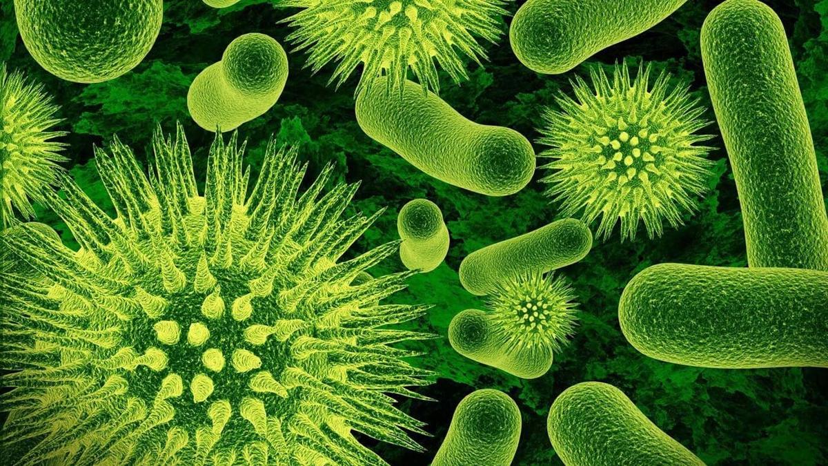 Superbacterias: ¡el precio de los errores del pasado!
