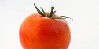 beneficios del tomate