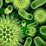 Microfotografía de bacterias resistentes a los antibióticos