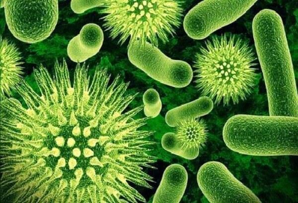 Los mecanismos de resistencia bacteriana limitan al arsenal terapéutico en el tratamiento de infecciones comunes