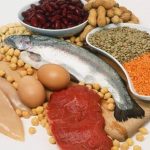 Fuentes de aminoácidos mediante la dieta