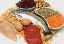 Las diversas fuentes de proteínas satisfacen las necesidades de aminoácidos esenciales