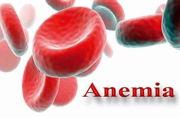 alimentos para prevenir la anemia