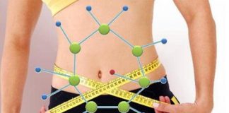 El metabolismo regula el peso corporal
