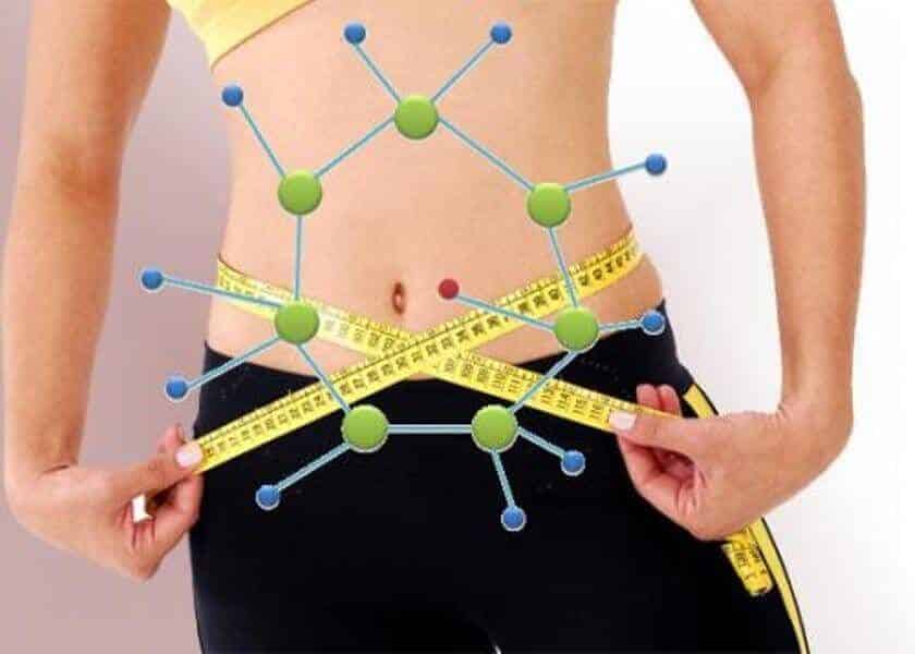 El metabolismo regula el peso corporal