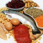 Fuentes de aminoácidos mediante la dieta