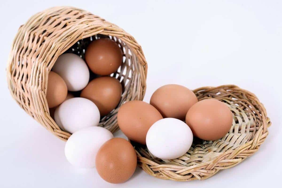 Recetas de huevos, ¿son buenas o malas para la salud?