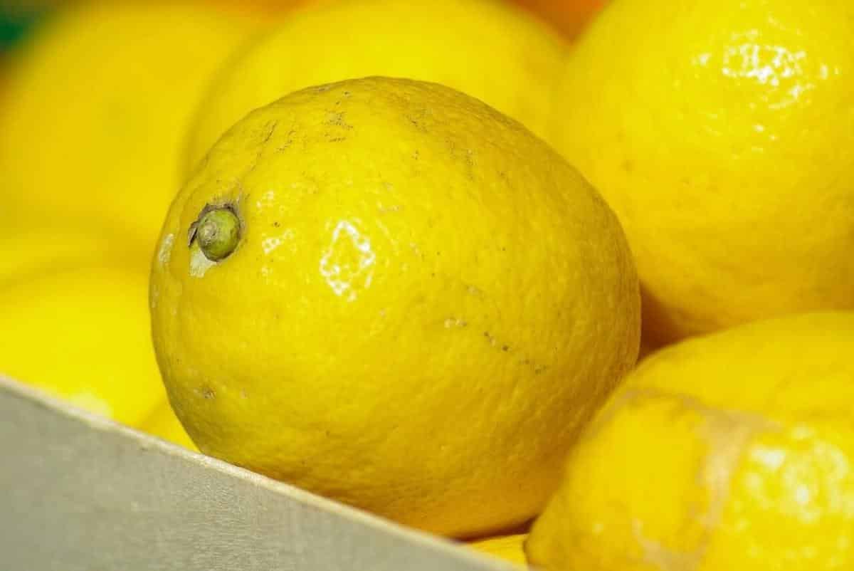 Limón, un sol en nuestra dieta