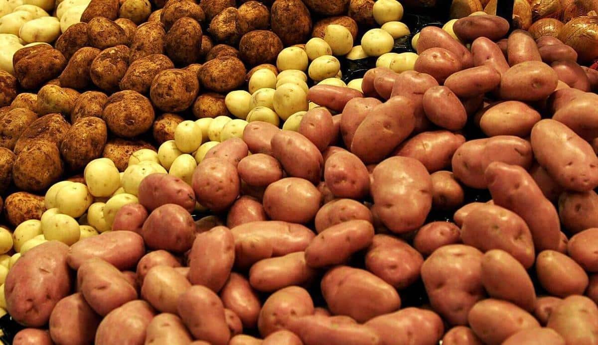 Recetas sanas con patatas