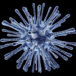 Celulas infectadas por virus