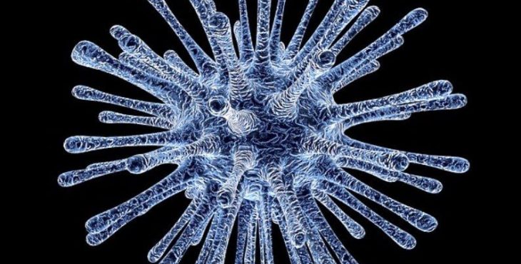 El Síndrome Respiratorio del Oriente Medio (MERS) es causado por un coronavirus