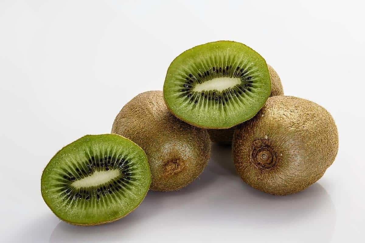 Fruta tropical kiwi