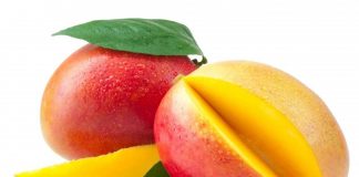 variedades mango