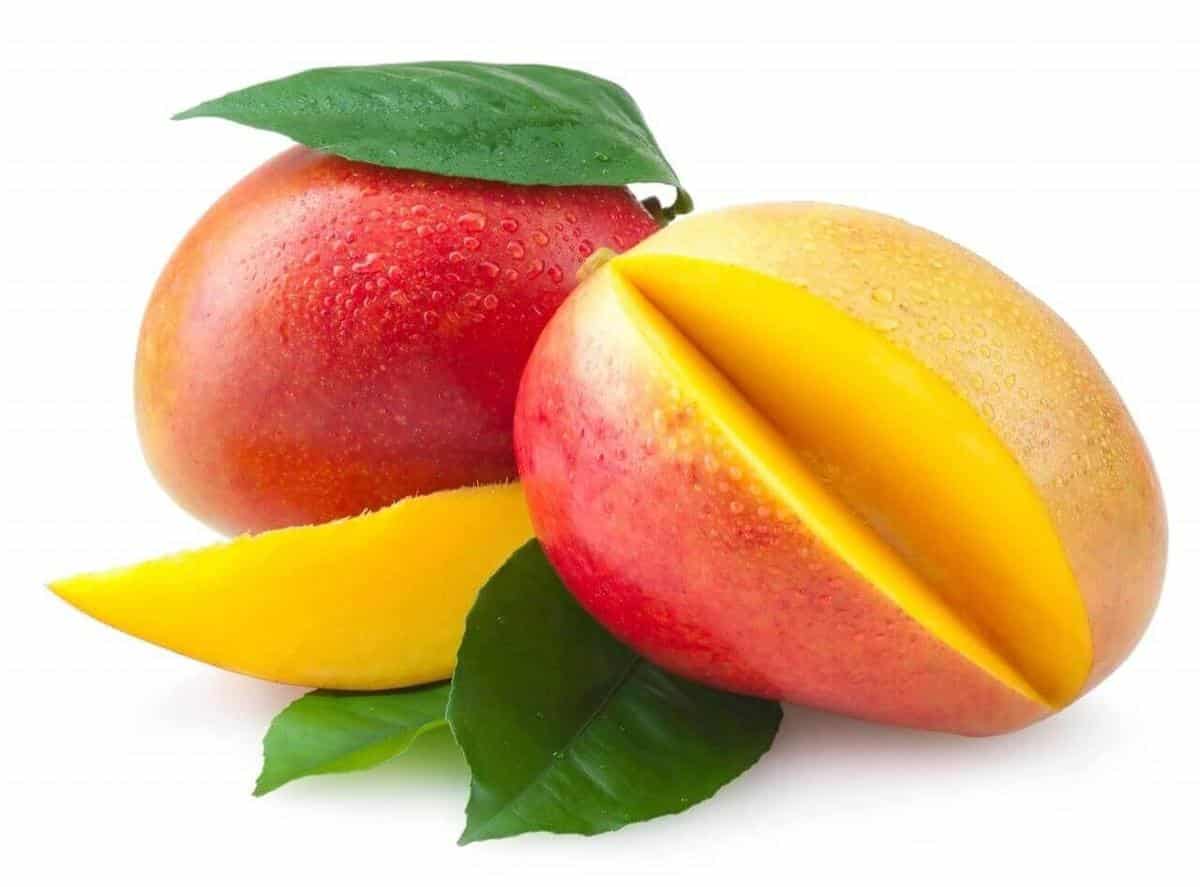 variedades mango