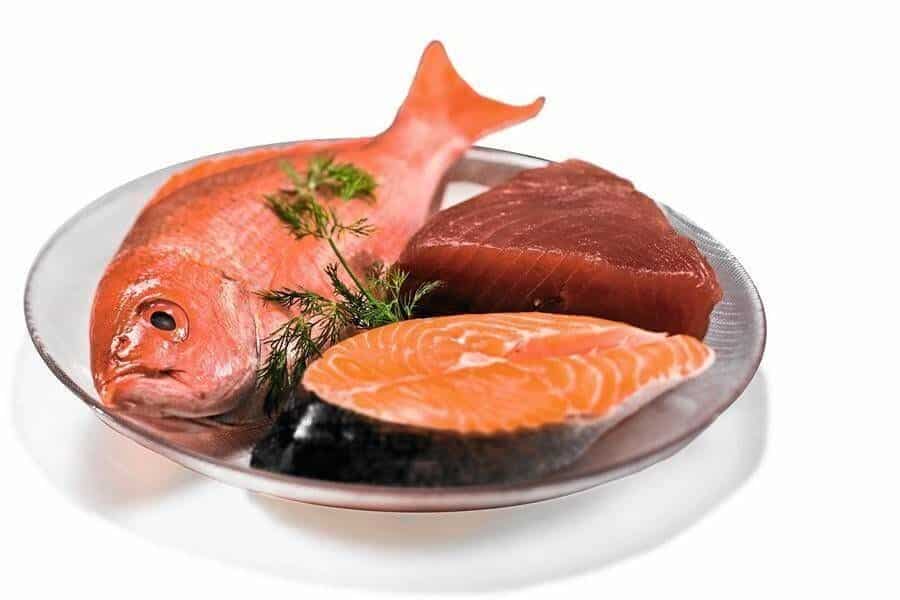 4 tipos de pescados fáciles de comer y cocinar