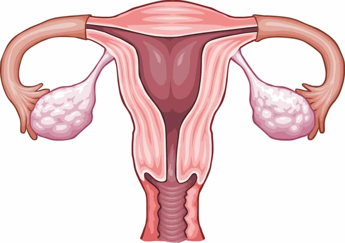 5 síntomas del cáncer de cuello uterino, identifícalos