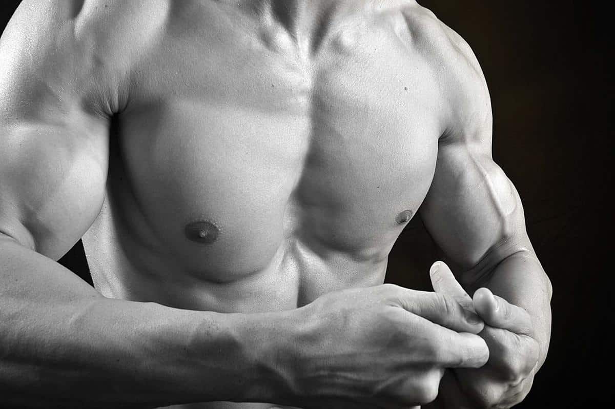 Cómo aumentar la masa muscular con alimentación y suplementos