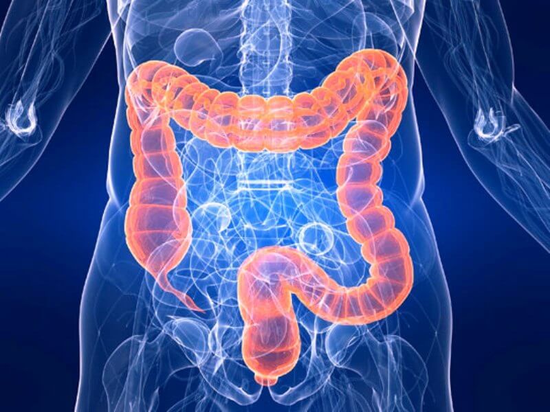 La colonoscopia es una técnica que el médico puede utilizar para observar el intestino grueso y el recto, e incluso hasta puntos del intestino delgado para buscar señales tempranas de cáncer