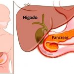 Localización del páncreas