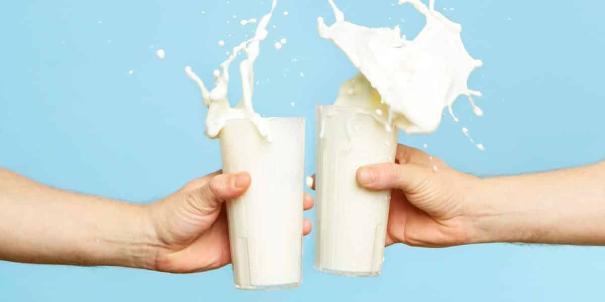 propiedades de la leche