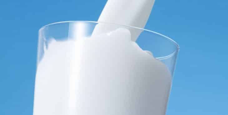 importancia de la leche
