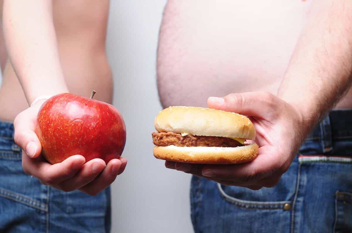 causas obesidad