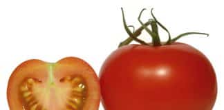 tomates licopeno