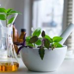 TLas plantas son la base del desarrollo de la medicina herbaria
