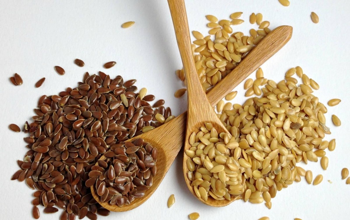propiedades de la linaza o semillas de lino para adelgazar semillas de lino para el colesterol