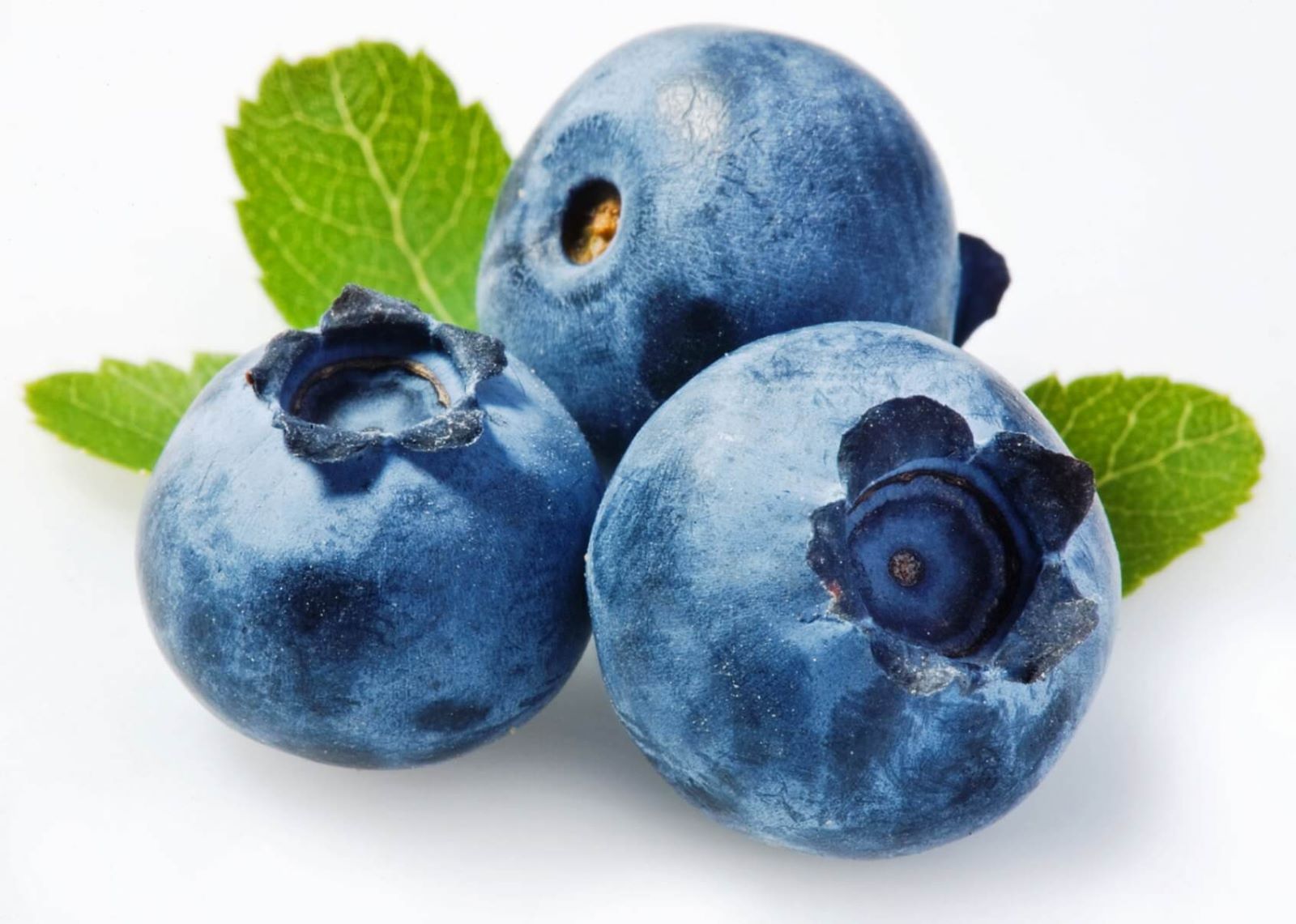 Descubre los arándanos o blueberries