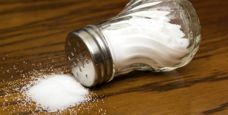 Los seres vivos no pueden realizar sus funciones vitales sin la participación del sodio sin sal