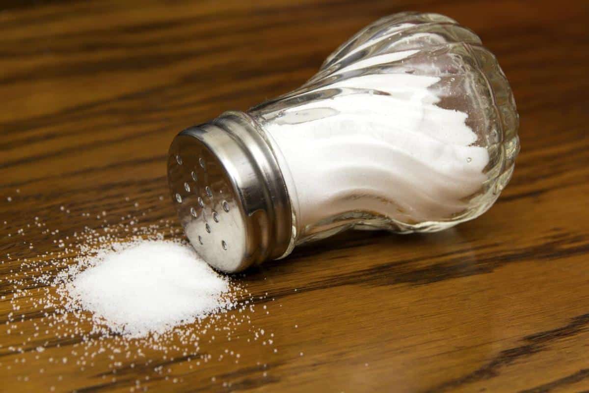 Los seres vivos no pueden realizar sus funciones vitales sin la participación del sodio sin sal