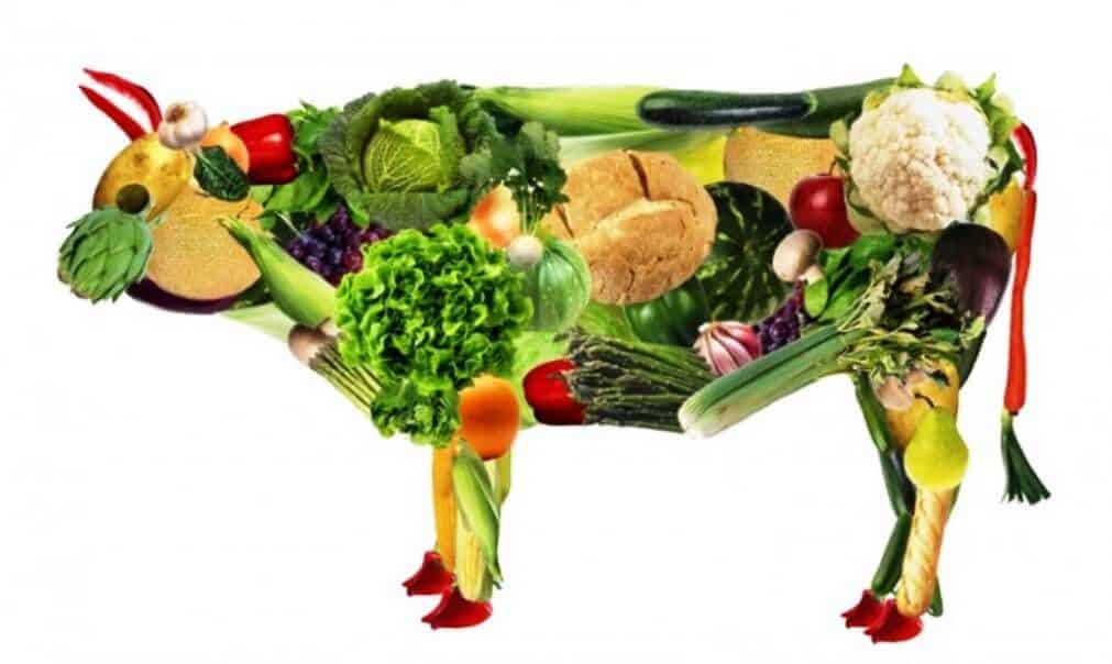 El veganismo es un estilo de vida no es una dieta para perder peso