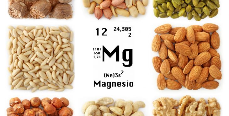 Las propiedades del magnesio son un seguro de vida a largo plazo 