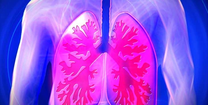 Los pulmones garantizan la adecuada oxigenación de los seres vivos 