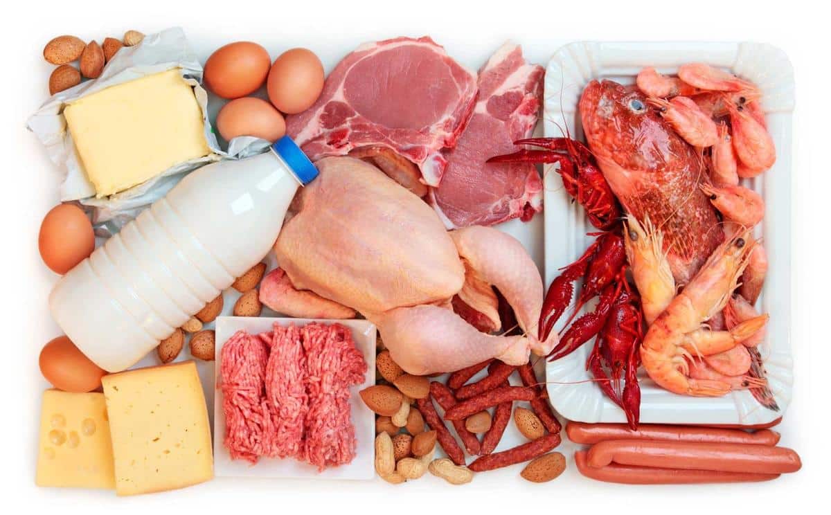 Nueva información sobre los alimentos con proteínas