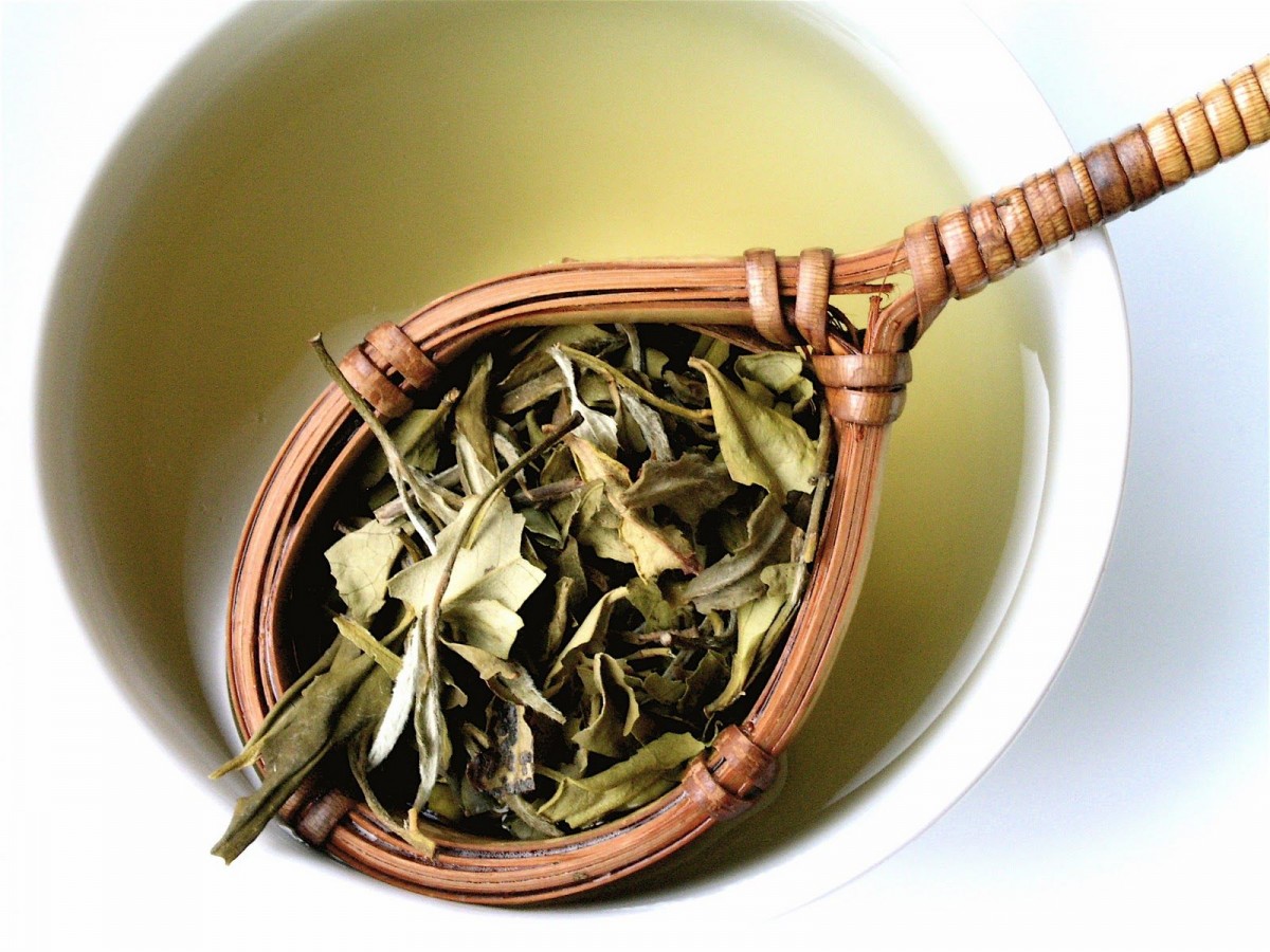 ¿Conoces las propiedades del té blanco?