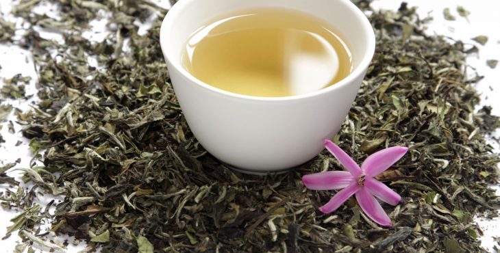 La dieta del té blanco brinda eficiente respuesta para bajar de peso
