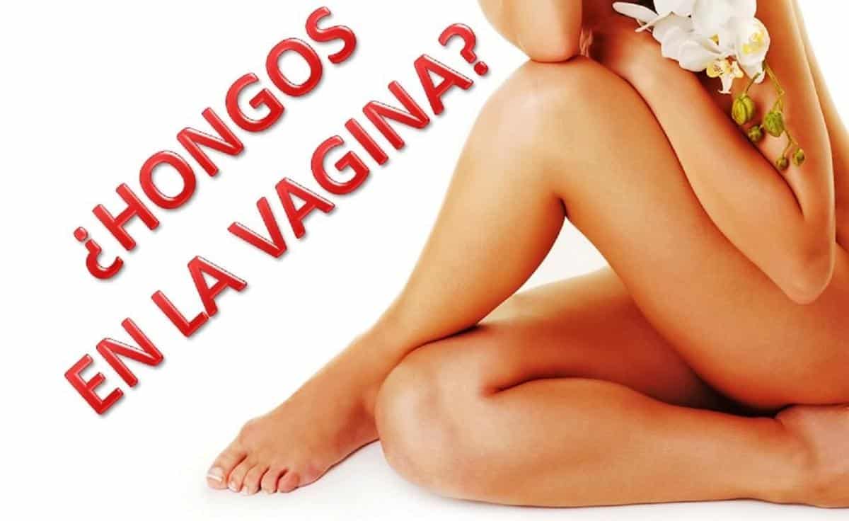 Cuando una mujer tiene hongos en la vagina, por lo general está asociada a la presencia de una levadura llamada Candida albicans