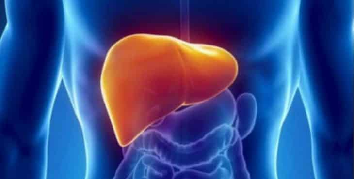 La mayoría de las transformaciones metabólicas se realizan en el hígado