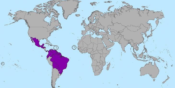 El avance del virus del Zika por Latinoamérica ha sido impresionante y hay una preocupación creciente por su asociación con otras afecciones