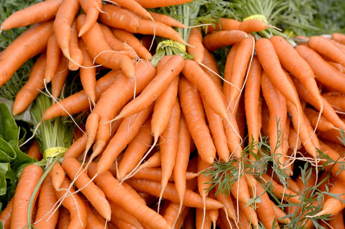 ¿Qué son los carotenos? La respuesta te sorprenderá