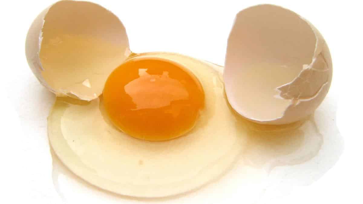 clara de huevo