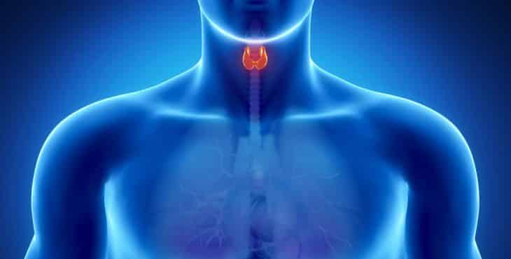perdida de peso síntomas del tiroides