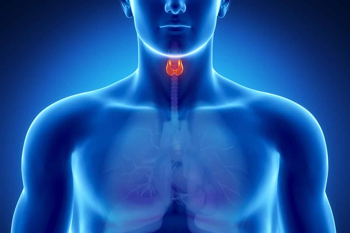 tiroides alto perdida de peso síntomas del tiroides