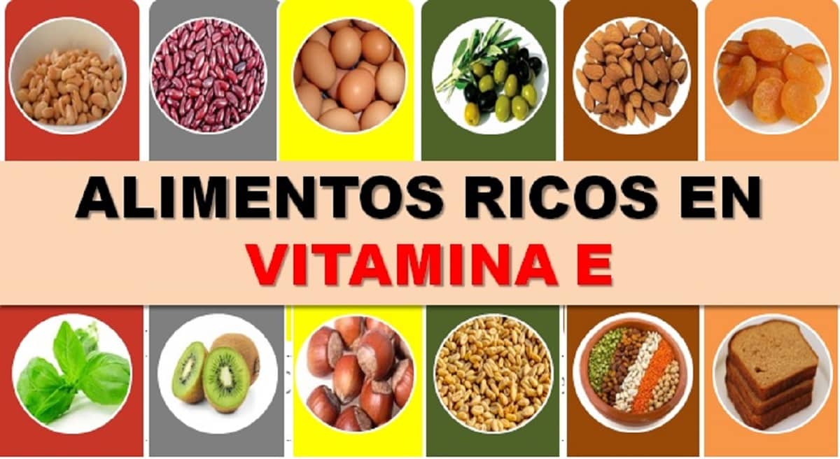 Consume alimentos ricos en vitamina E para prevenir su déficit