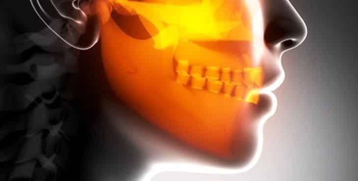 La articulación temporomandibular articula la mandíbula con el cráneo